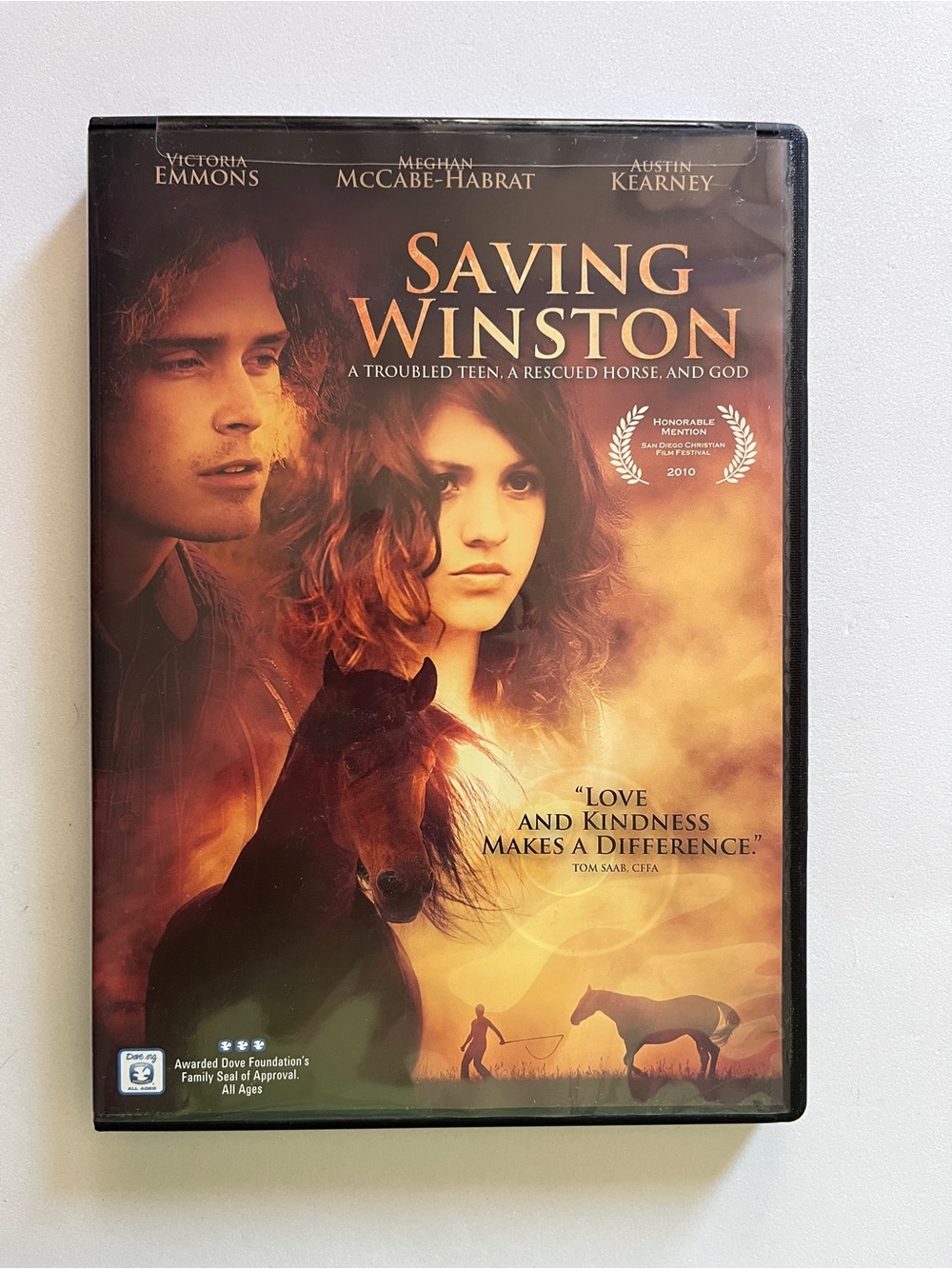 Saving Winston: A Troubled Teen, a rescued horse and God. DVD Movie Film Flick